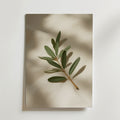 Olive branch decor stem – stilfullt konsttryck från Bozetto, tryckt på matt finpapper