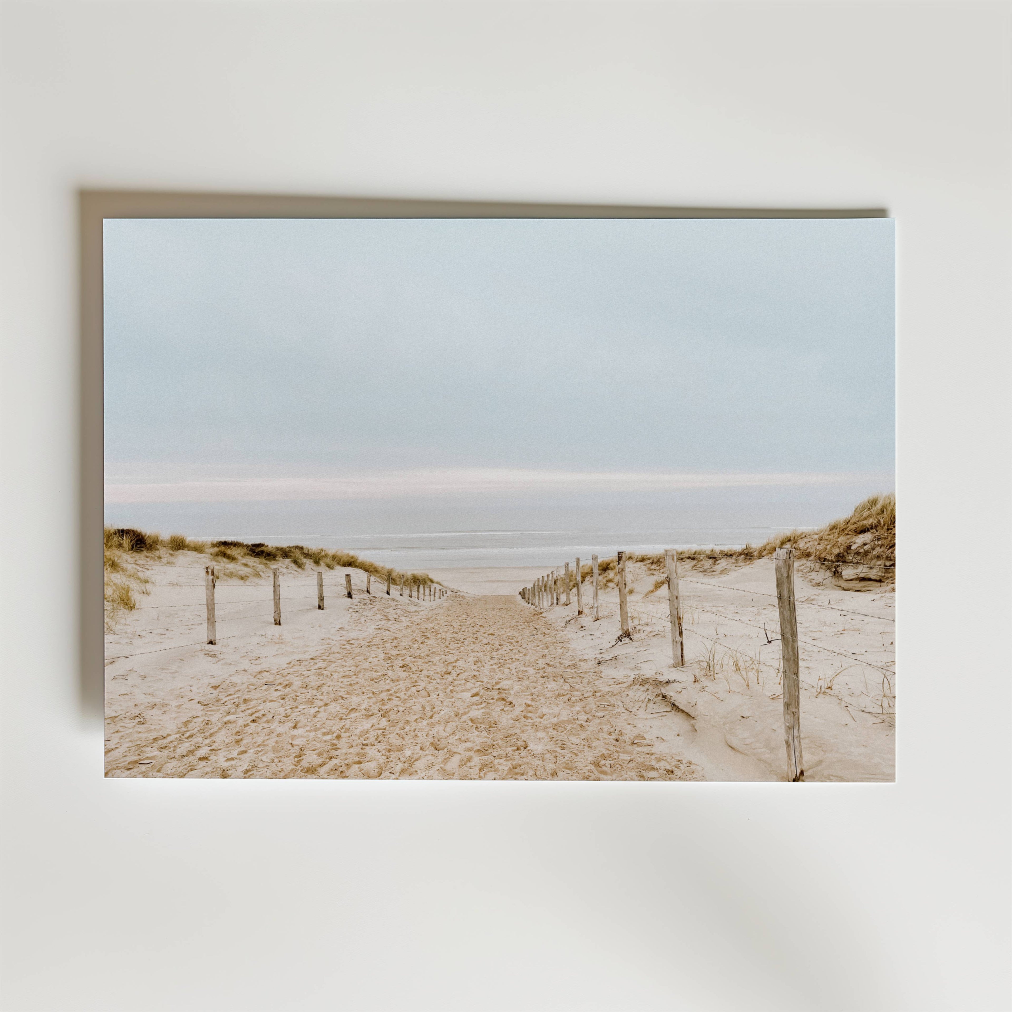 Soft Dune Pathway – stilfullt konsttryck från Bozetto, tryckt på matt finpapper i hög tryckkvalitet