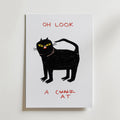 Storleksguide för Oh Look Cat – välj din favoritstorlek och beställ hos Bozetto i hög tryckkvalitet