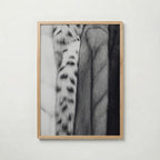 Soft Pelt Layers Poster – ekram