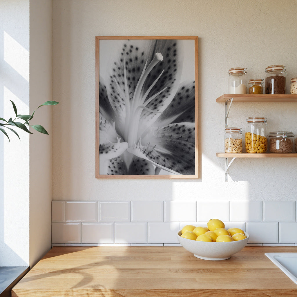 Lily In Bloom Poster – i rum 1