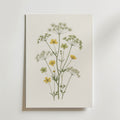 Meadow Buttercup Poster – botanisk illustration med smörblommor och vilda ängsblommor