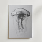 Drifting Jellyfish Sketch Poster – canvas utan passepartout