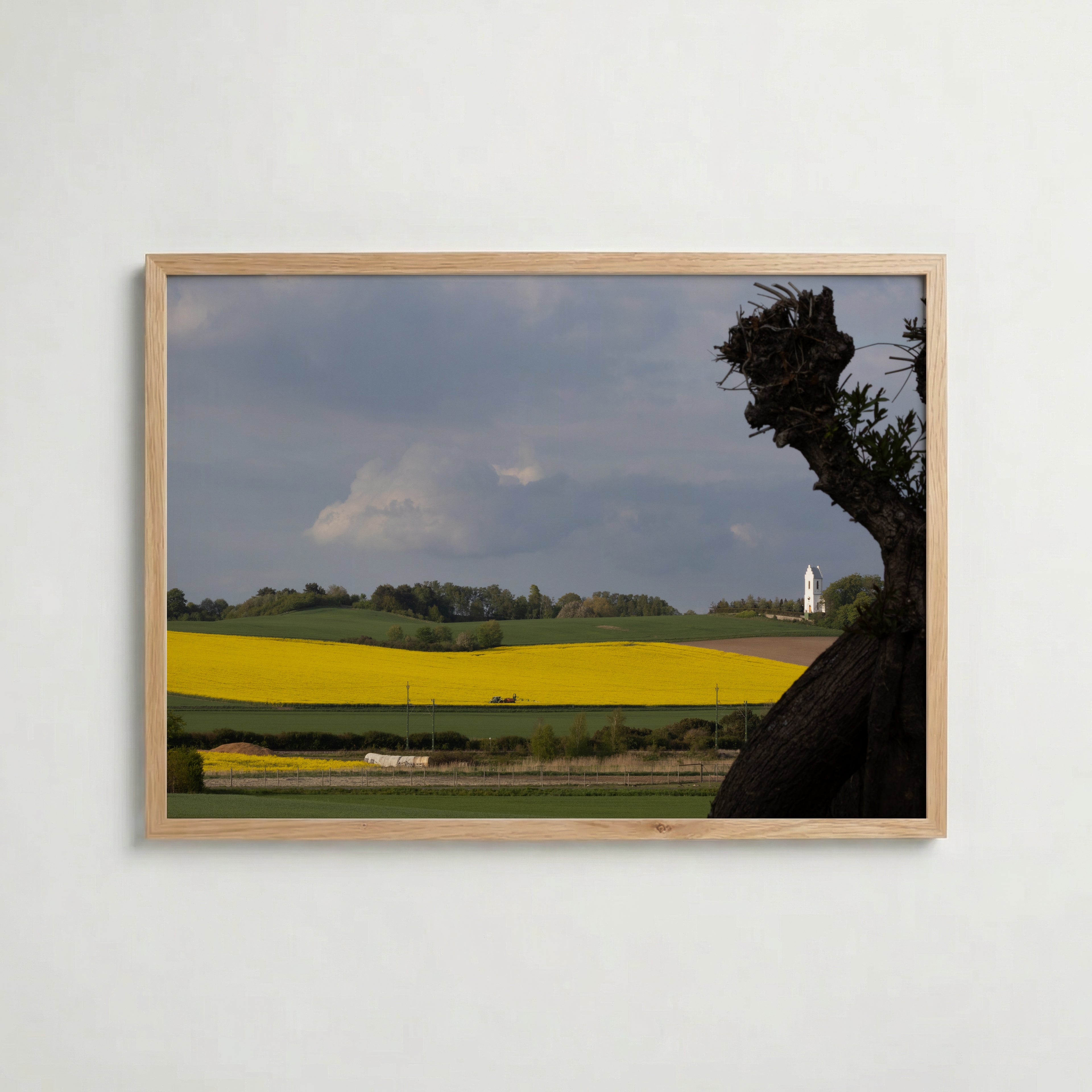 Skåne Covered in Yellow Poster i hemmiljö