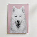 Velvet Paw Poster – snövit samojedhund med isblå ögon mot rosa bakgrund