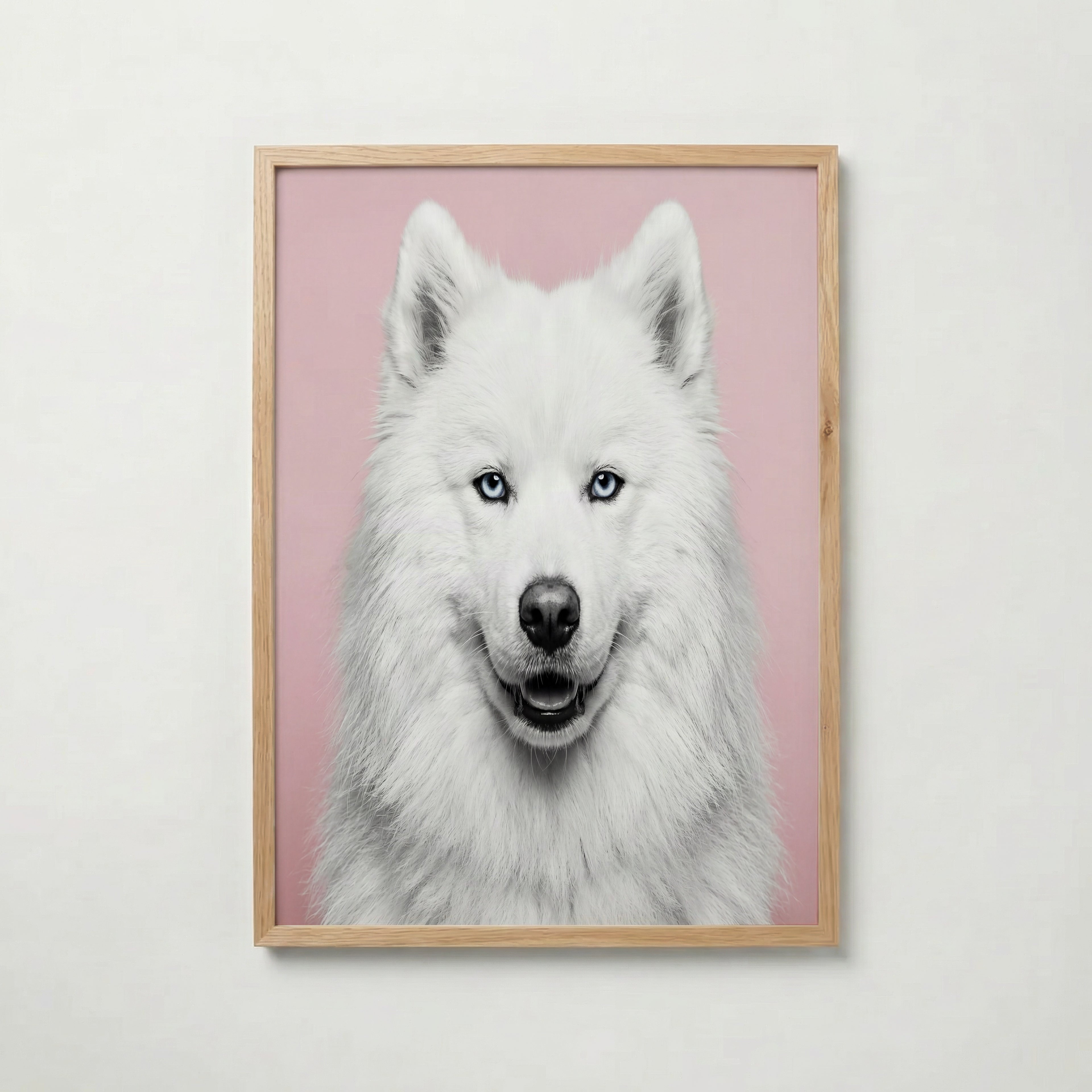 Velvet Paw Poster med ekram