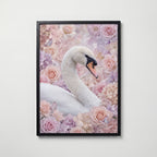 Blomstersvan Poster – svart ram