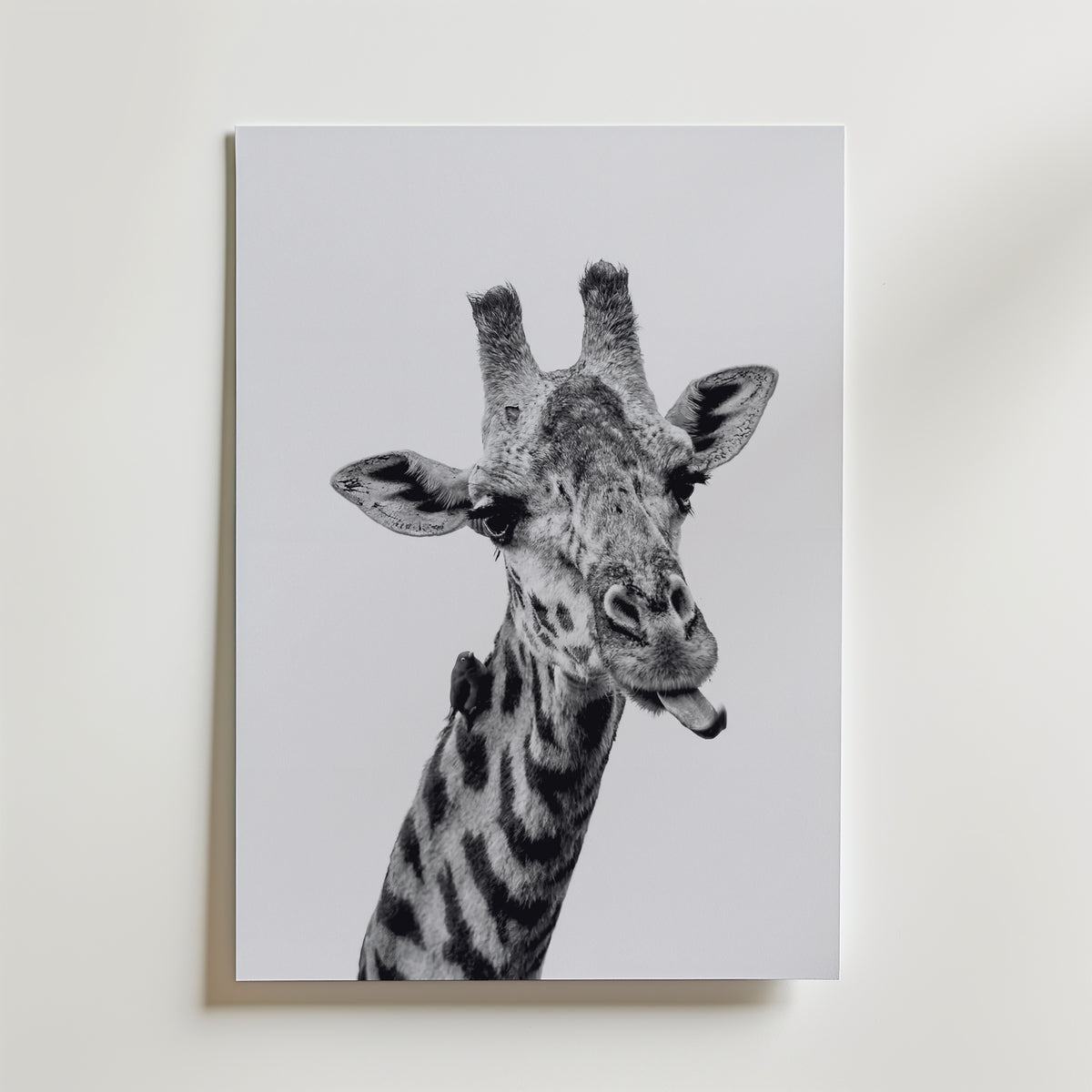 Cheeky Giraffe Poster – canvas utan passepartout