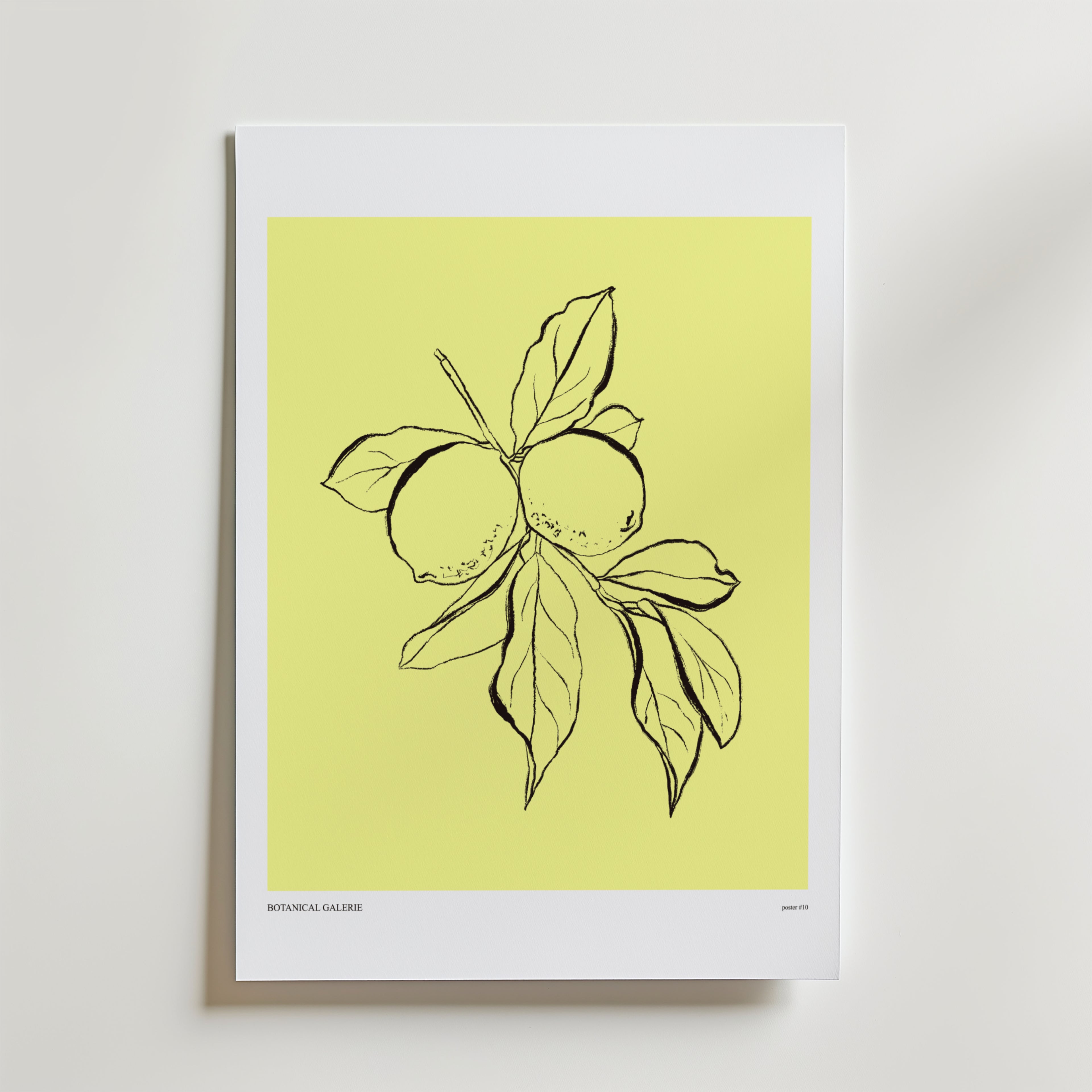 Botanical Lemon – stilfullt konsttryck från Bozetto, tryckt på matt finpapper i hög tryckkvalitet
