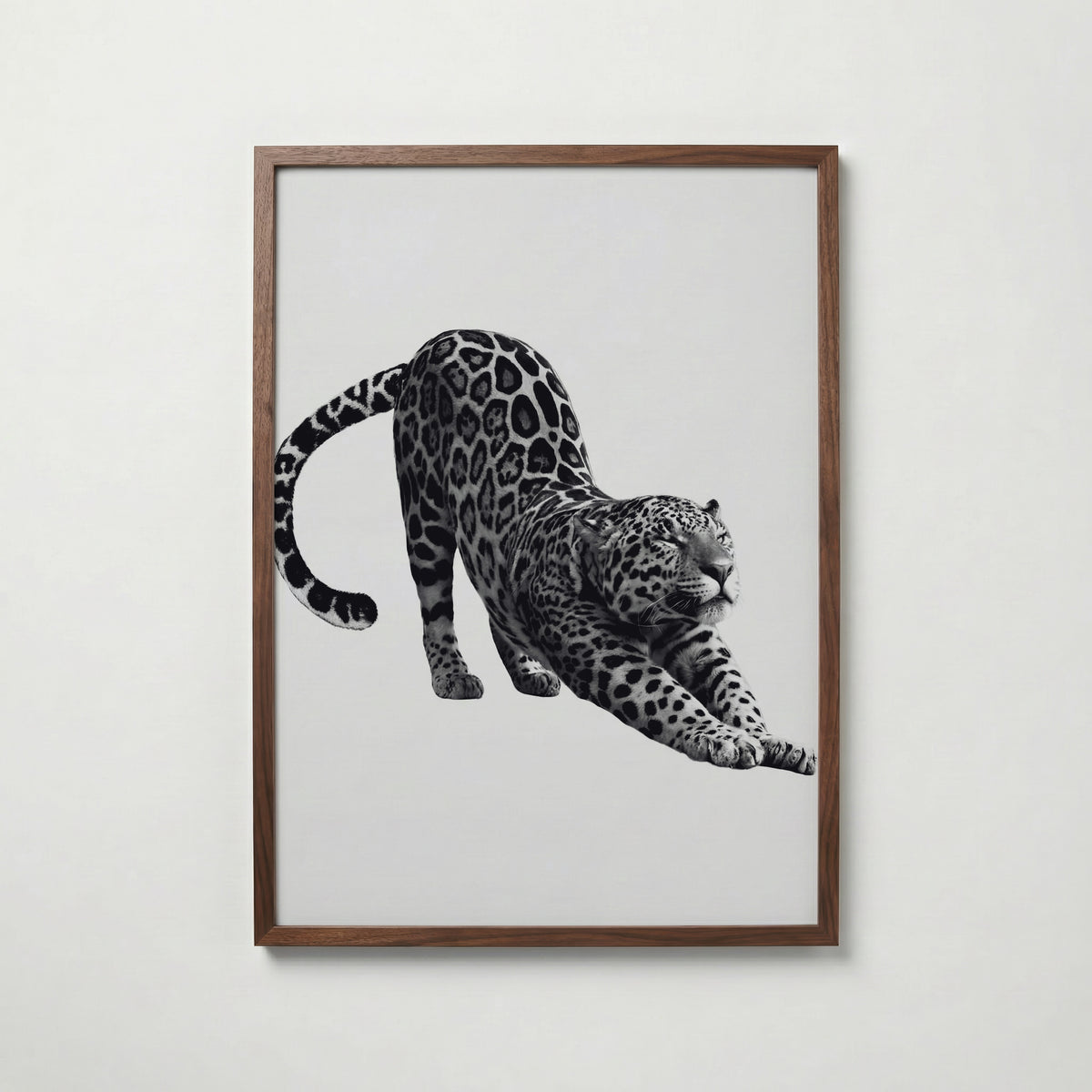 Stretching Leopard Poster – valnötsram